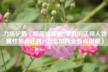 力场护盾（暗黑破坏神2单机的法师人物属性加点还有JN怎么加呀全面点谢谢）