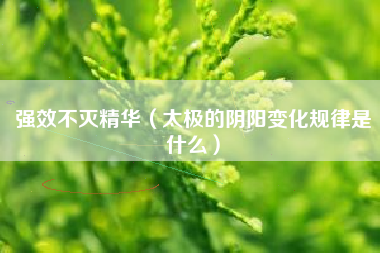 强效不灭精华（太极的阴阳变化规律是什么）