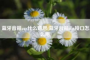 蓝牙音箱aux什么意思(蓝牙音箱aux接口怎么用)