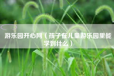 游乐园开心网（孩子在儿童游乐园里能学到什么）