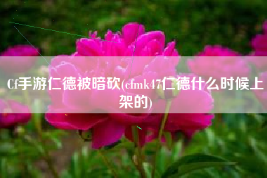 Cf手游仁德被暗砍(cfmk47仁德什么时候上架的)