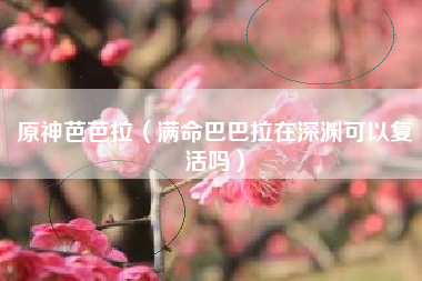 原神芭芭拉（满命巴巴拉在深渊可以复活吗）