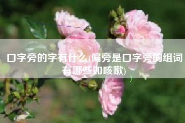 口字旁的字有什么(偏旁是口字旁的组词有哪些如咳嗽)