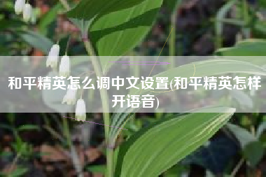 和平精英怎么调中文设置(和平精英怎样开语音)