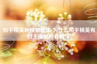 和平精英枪械数据集(为什么和平精英有的主播能枪有数字)