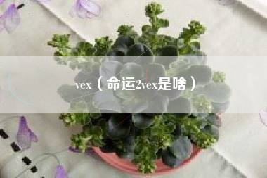 vex（命运2vex是啥）