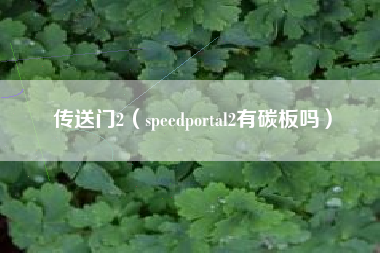 传送门2（speedportal2有碳板吗）