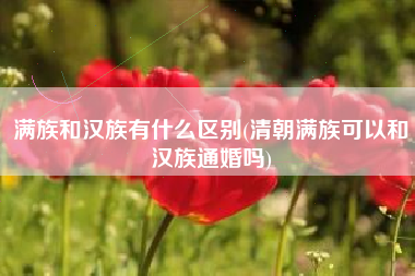 满族和汉族有什么区别(清朝满族可以和汉族通婚吗)