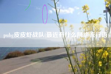 pubg皮皮虾战队(最近有什么网络流行语)