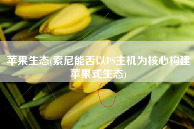 苹果生态(索尼能否以PS主机为核心构建苹果式生态)