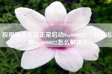 应用程序无法正常启动0xc0000022（打开出现0xc0000022怎么解决）