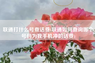 联通打什么号查话费(联通如何查询哪个号码为我手机冲的话费)