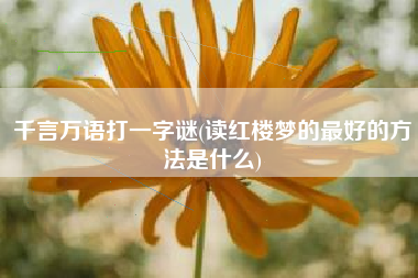 千言万语打一字谜(读红楼梦的最好的方法是什么)