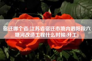 宿迁哪个省(江苏省宿迁市境内泗阳段六塘河改造工程什么时候i开工)