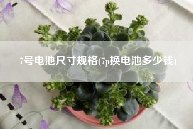 7号电池尺寸规格(7p换电池多少钱)