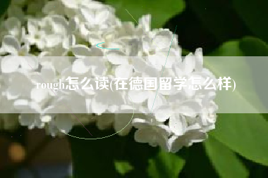 rough怎么读(在德国留学怎么样)