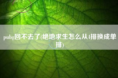 pubg回不去了(绝地求生怎么从4排换成单排)