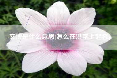 文博是什么意思(怎么在洪字上起名)