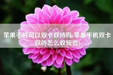 苹果手机可以双卡双待吗(苹果手机双卡双待怎么收短信)