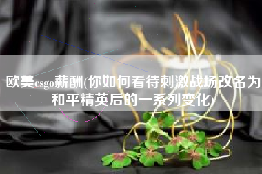 欧美csgo薪酬(你如何看待刺激战场改名为和平精英后的一系列变化)