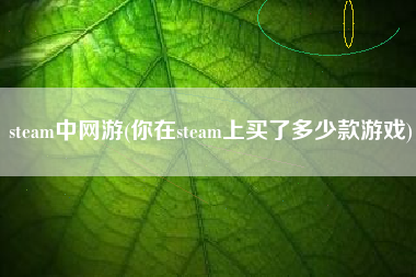 steam中网游(你在steam上买了多少款游戏)