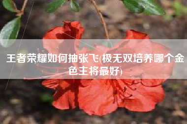 王者荣耀如何抽张飞(极无双培养哪个金色主将最好)