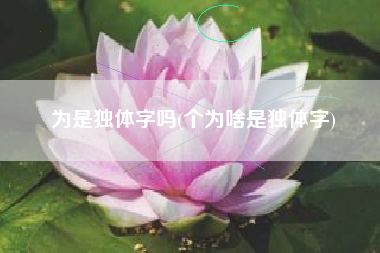 为是独体字吗(个为啥是独体字)