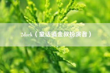 2dark（童话镇金叔扮演者）