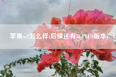 苹果se2怎么样(后续还有5GPLUS版本)