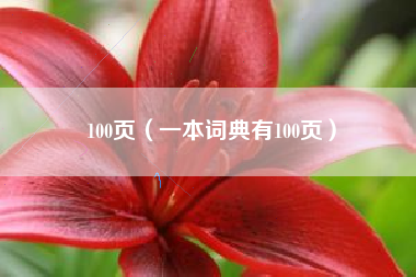 100页（一本词典有100页）