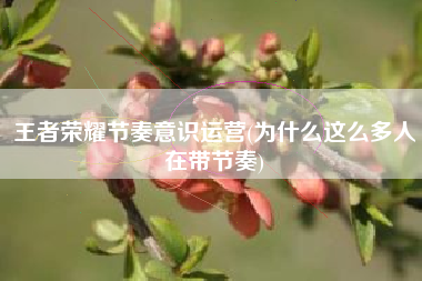 王者荣耀节奏意识运营(为什么这么多人在带节奏)