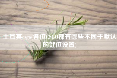 土耳其csgo(各位CSGO都有哪些不同于默认的键位设置)