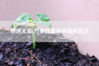 顺遂无虞(万事胜意各种语种表达)