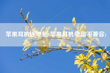 苹果耳机连电脑(苹果耳机电脑不兼容)