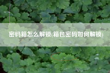 密码箱怎么解锁(箱包密码如何解锁)