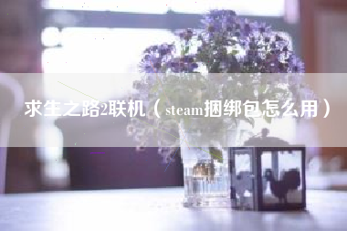 求生之路2联机（steam捆绑包怎么用）