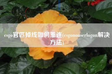 csgo官匹掉线如何重连(csgonouserlogon解决方法)