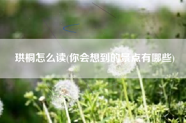 珙桐怎么读(你会想到的景点有哪些)