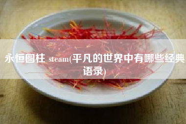 永恒圆柱 steam(平凡的世界中有哪些经典语录)