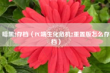 暗黑2存档（PC端生化危机2重置版怎么存档）