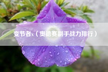 变节者x（奥德赛副手战力排行）