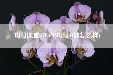 斑马课堂STEAM(斑马AI课怎么样)