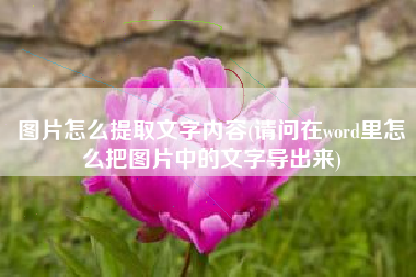 图片怎么提取文字内容(请问在word里怎么把图片中的文字导出来)