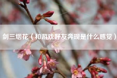 剑三烟花（和游戏好友奔现是什么感觉）