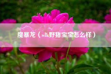 魔暴龙（wlk野猪宝宝怎么样）