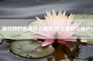 银行开户名是什么意思(什么是对公账户)