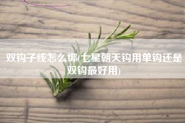 双钩子线怎么绑(七星朝天钩用单钩还是双钩最好用)