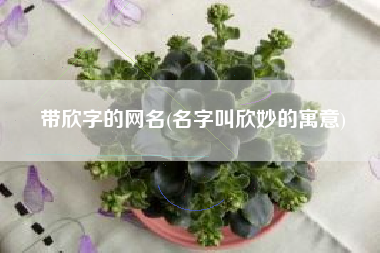 带欣字的网名(名字叫欣妙的寓意)