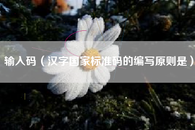 输入码（汉字国家标准码的编写原则是）