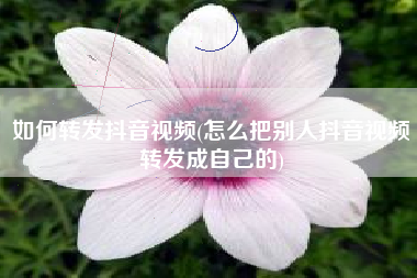 如何转发抖音视频(怎么把别人抖音视频转发成自己的)